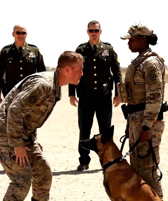 After hitting him in front of him K9, they laughed—until the dog’s handler was revealed as a Navy SEAL.