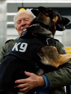 A K9 broke through a crowded station chasing a voice—seconds later it found its missing trainer, proving some commands are never forgotten